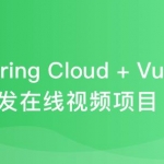 Spring Cloud+Vue前后端分离开发企业级在线视频系统|完结无密