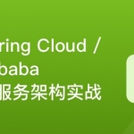 Spring Cloud / Alibaba 微服务架构实战|完结无密