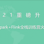 2021全新升级版-若泽数据Spark+Flink全栈训练营(高级班)