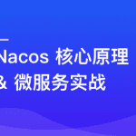 Nacos 核心原理解读+高性能微服务系统实战完结无密